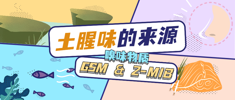 土腥味的來(lái)源——GSM & 2-MIB